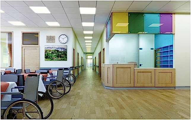 современный дом инвалидов