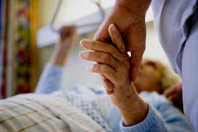 нервная система